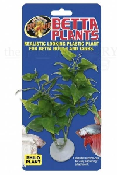 Betta Plant - Philo